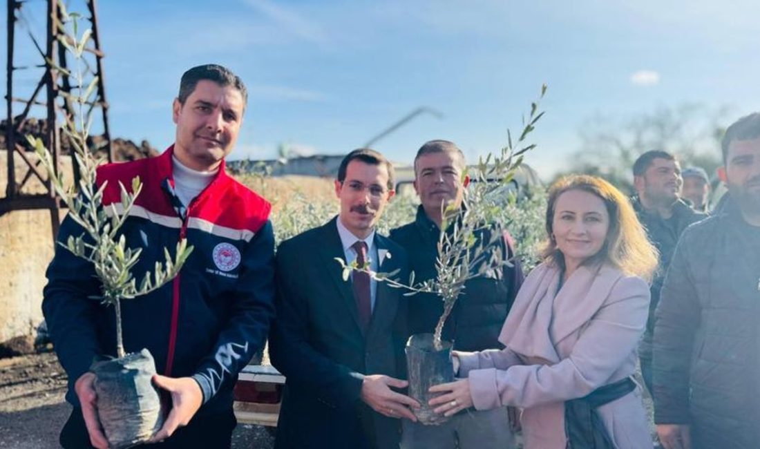 Aydın'ın Bozdoğan İlçesinde Tarım ve Orman Müdürlüğü, Betizac kestane, Memecik