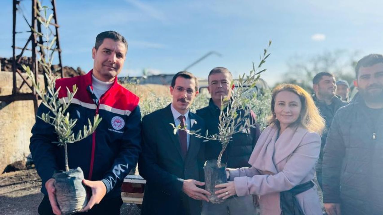 Aydın'ın Bozdoğan İlçesinde Tarım ve Orman Müdürlüğü, Betizac kestane, Memecik