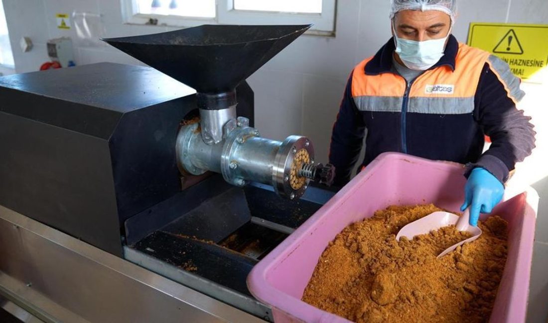 Didim Belediyesi, çevre koruma ve sokak hayvanlarının beslenmesine yönelik örnek