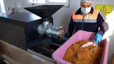 Didim Belediyesi, çevre koruma ve sokak hayvanlarının beslenmesine yönelik örnek