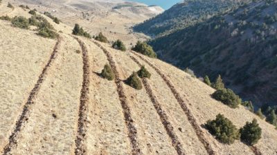 Doğu Anadolu Bölgesi’nde yer alan 6 ilde bu yıl yürütülen