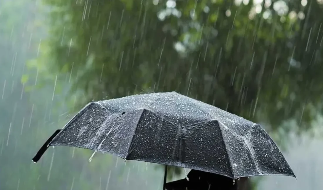 Meteoroloji Genel Müdürlüğü, Muğla genelinde gök gürültülü sağanak uyarısı yaparak