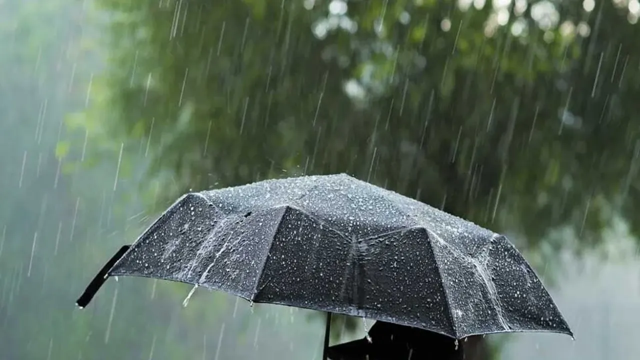 Meteoroloji Genel Müdürlüğü, Muğla genelinde gök gürültülü sağanak uyarısı yaparak