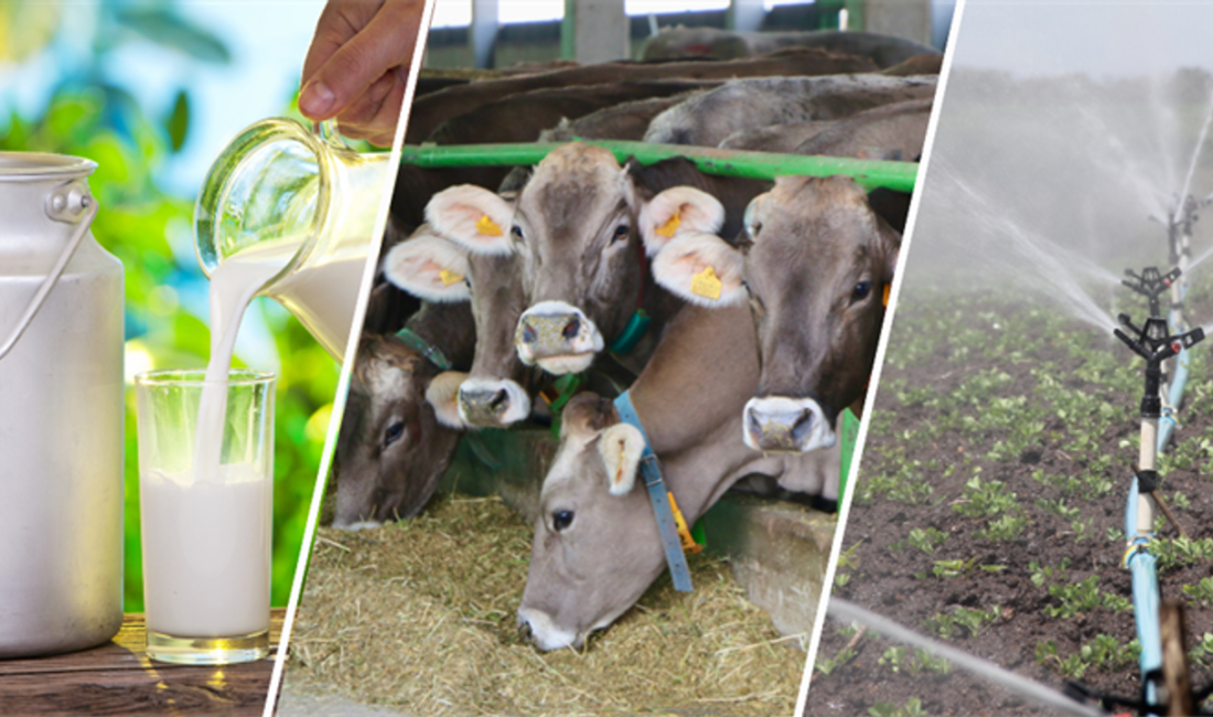 Tarım ve Orman Bakanı İbrahim Yumaklı, 4 milyar 540 milyon