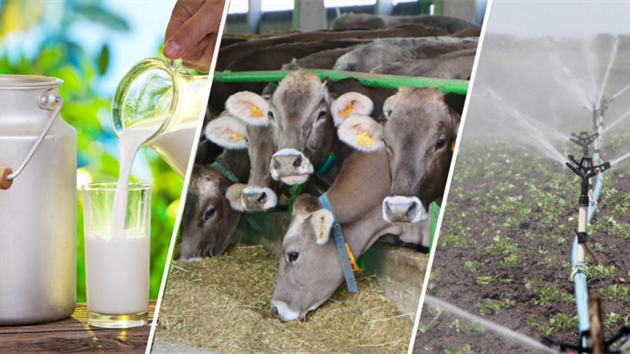 Tarım ve Orman Bakanı İbrahim Yumaklı, 4 milyar 540 milyon