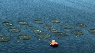 Tarım ve Orman Bakanı İbrahim Yumaklı, Akdeniz Genel Balıkçılık Komisyonu’nun