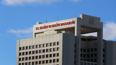 Hazine ve Maliye Bakanlığı Vergi Denetim Kurulu (VDK), 250 vergi