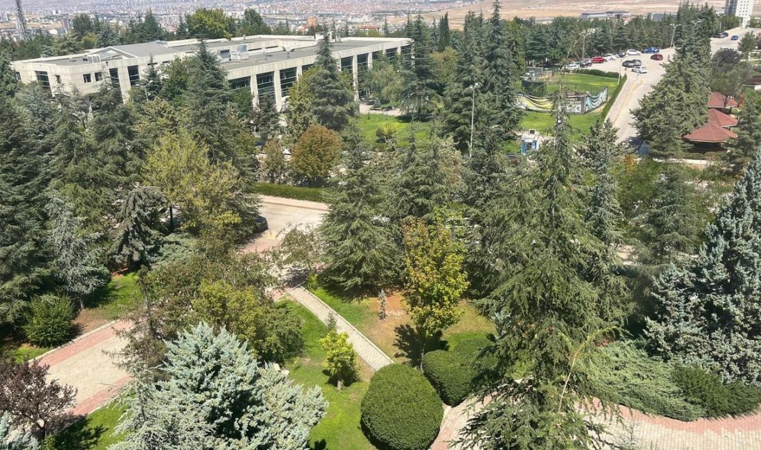 Başkent Üniversitesi 2025 UI GreenMetric Dünya Üniversiteler Sıralamasında Dünyanın En