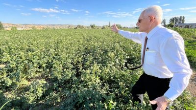 Başkent Üniversitesi kurucusu, bilim insanı Prof. Dr. Mehmet Haberal, özellikle